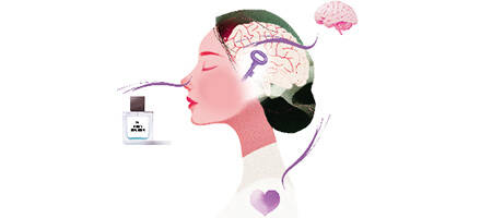 parfums lr health & beauty
