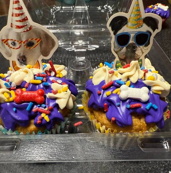 One Regular Size Pup Cake