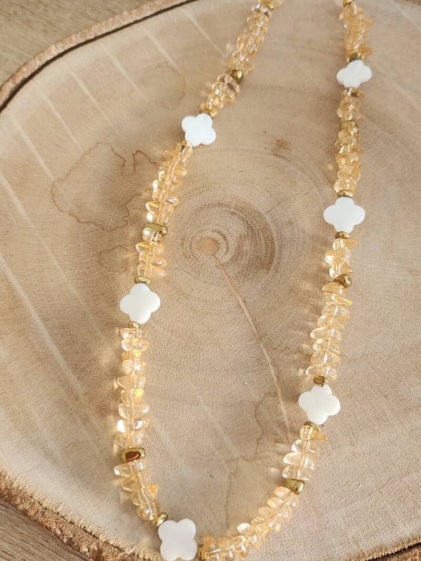 Collier Chip’s