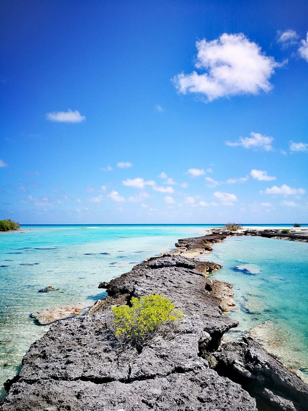 lagon makemo tuamotu, iles polynesiennes magnifiques, organisation sur mesure de voyage de noces, d'anniversaire, paradis cocotier, lagons océan pacifique, voyage immersif, éthique, responsable et durable, slowtourisme