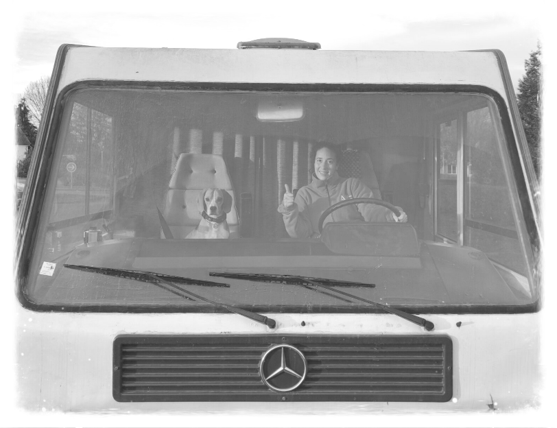 Voyage dog friendly en van avec son chien vacance facile road trip canin mercedes voyage