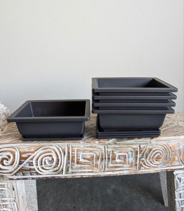 set 5 stuks kunststof trainingspot met schotel