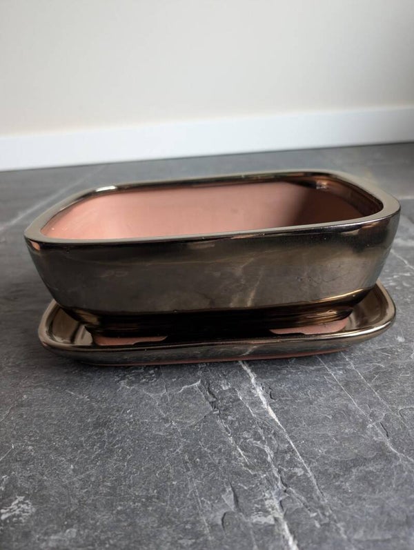 Bonsai pot 27x19x9cm met schotel