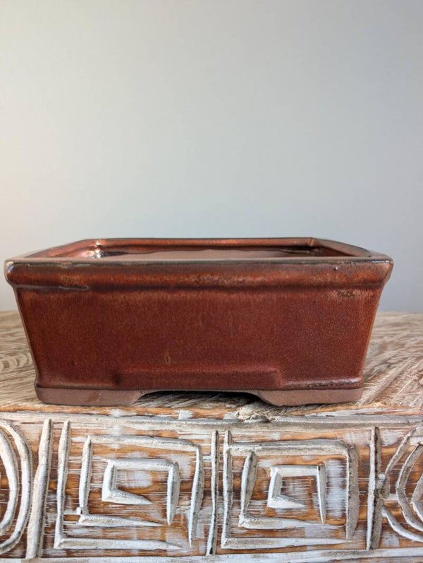 Bonsai Pot 18x14x7