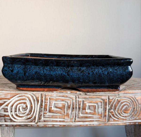 bonsai pot 28x18x8