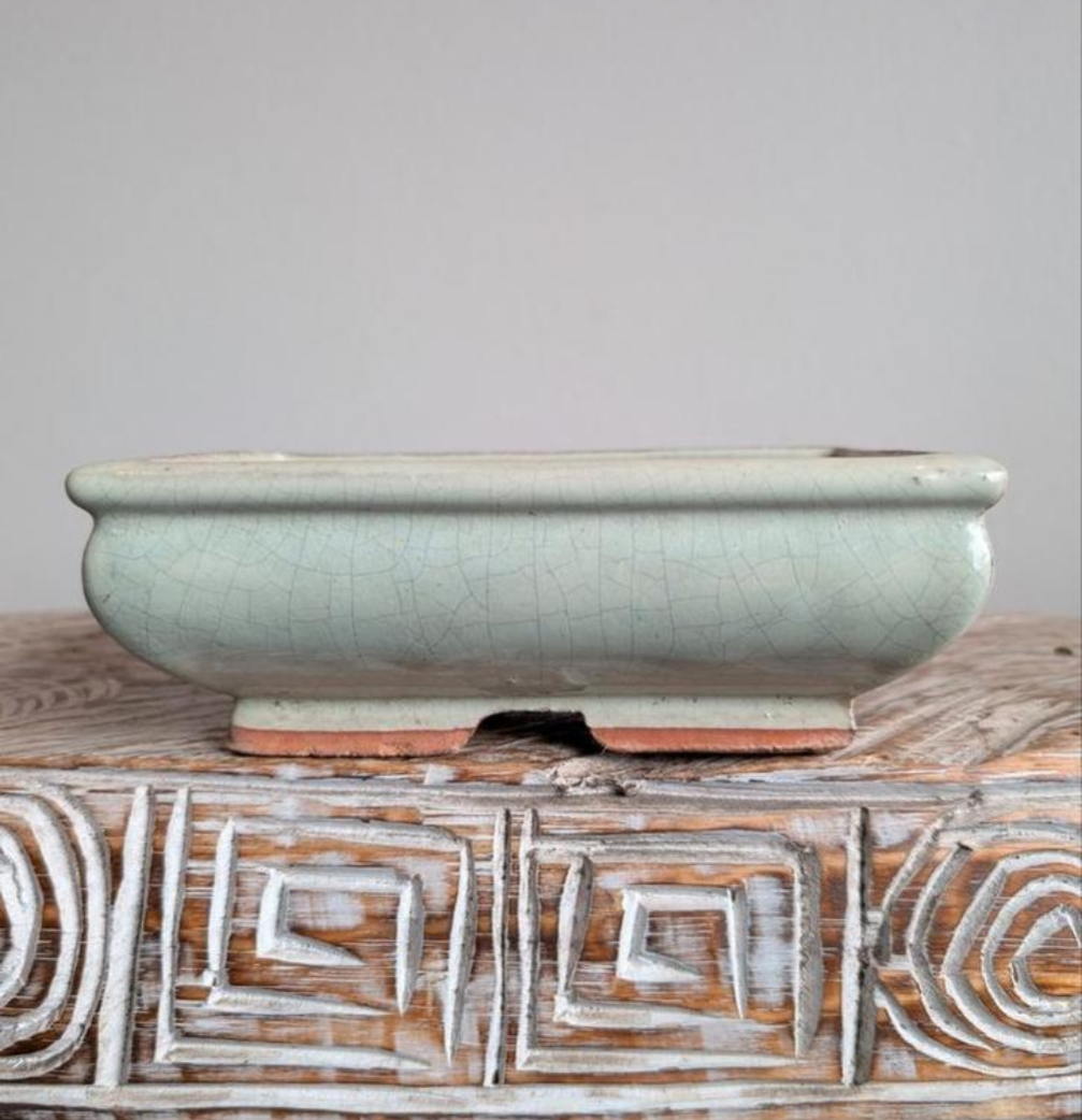 bonsai pot 18x12x6,5