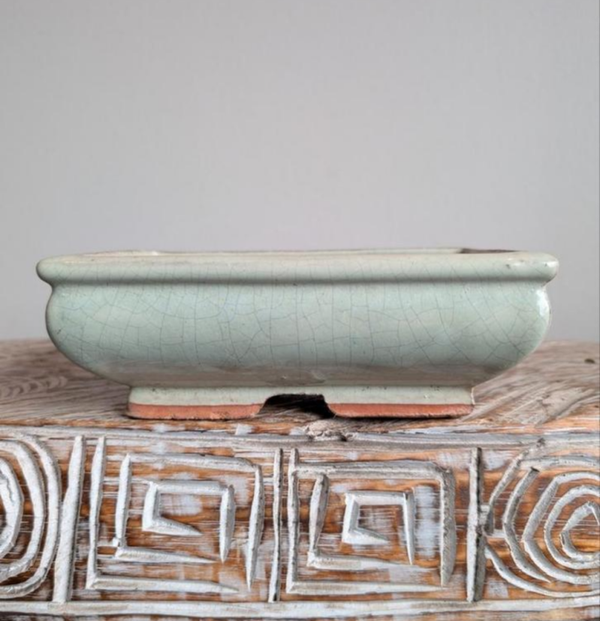 bonsai pot 18x12x6,5