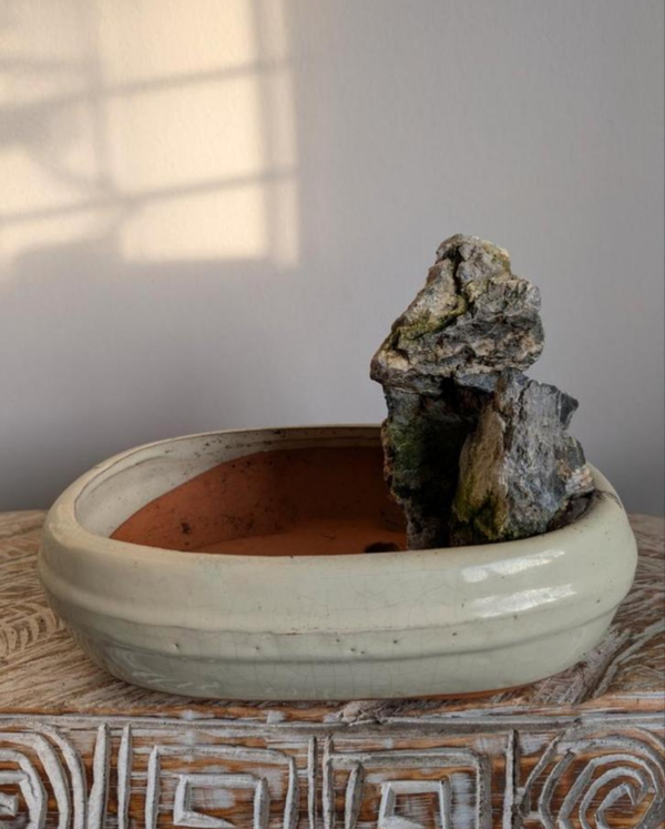 bonsai pot met rots 23x18x7