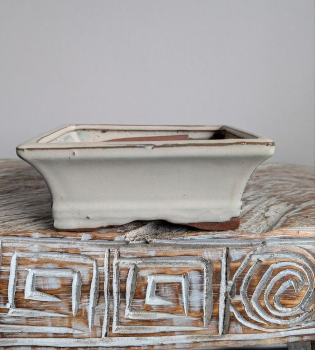 bonsai pot 15x11x6