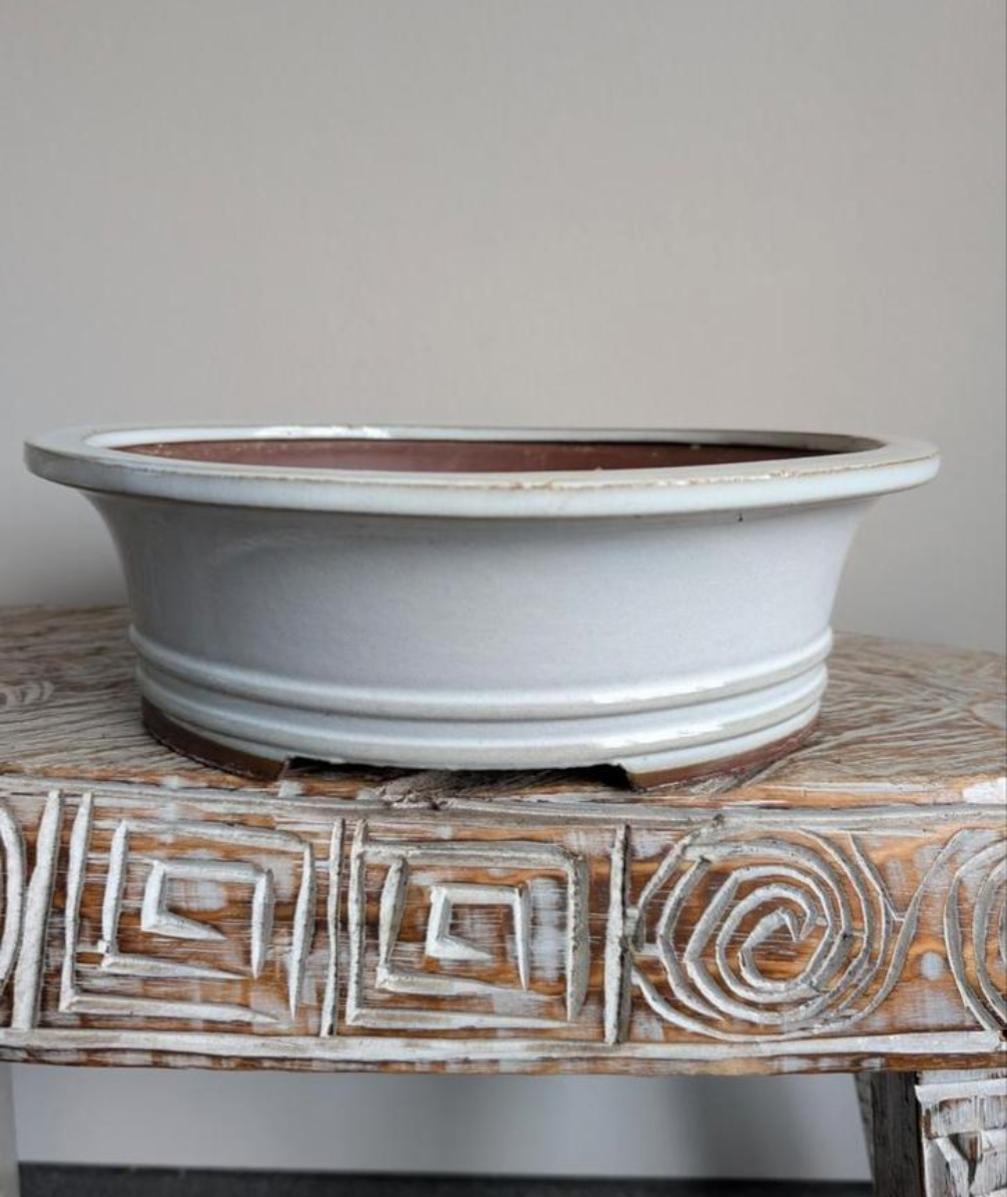bonsai pot 29x23x8