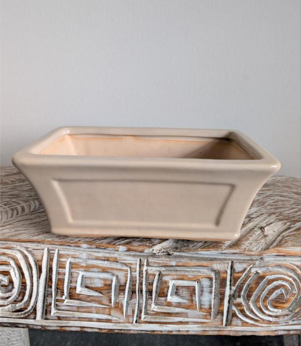 bonsai pot 20x12x8