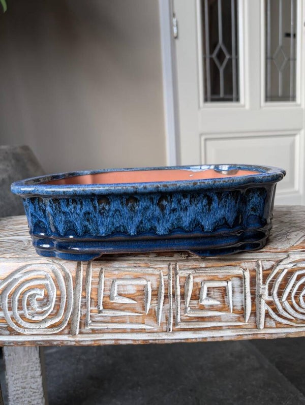 Bonsai Pot 26.5 x 21 x 6.5 Blauw Geglazuurd