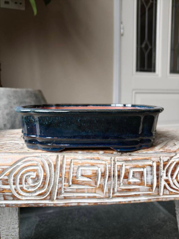 Bonsai pot blauw geglazuurd 27.7 x 20.7 x 6.5