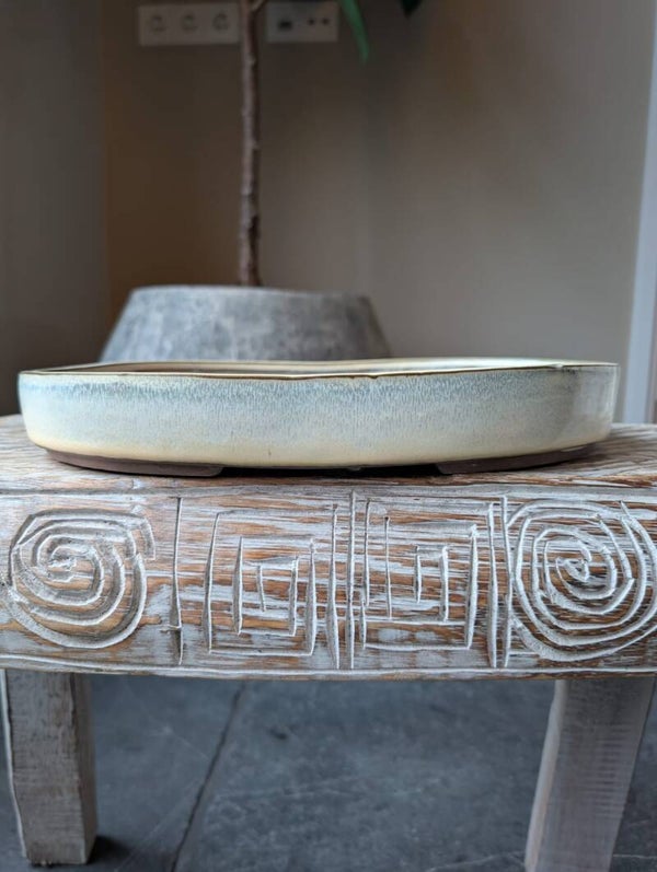 Bonsai pot 30.5 x 21 x 4.3