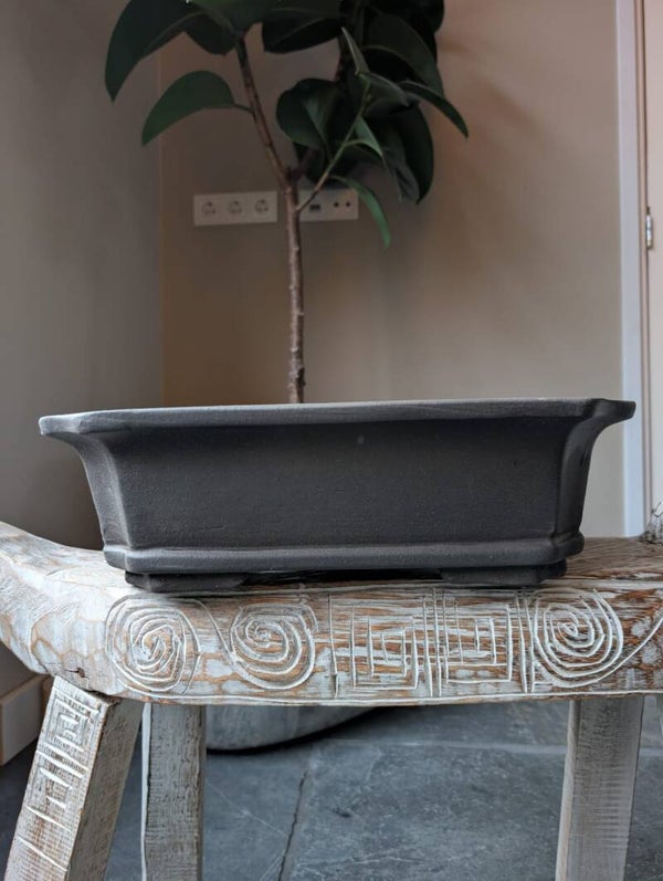 Bonsai pot 31 x 22 x 8
