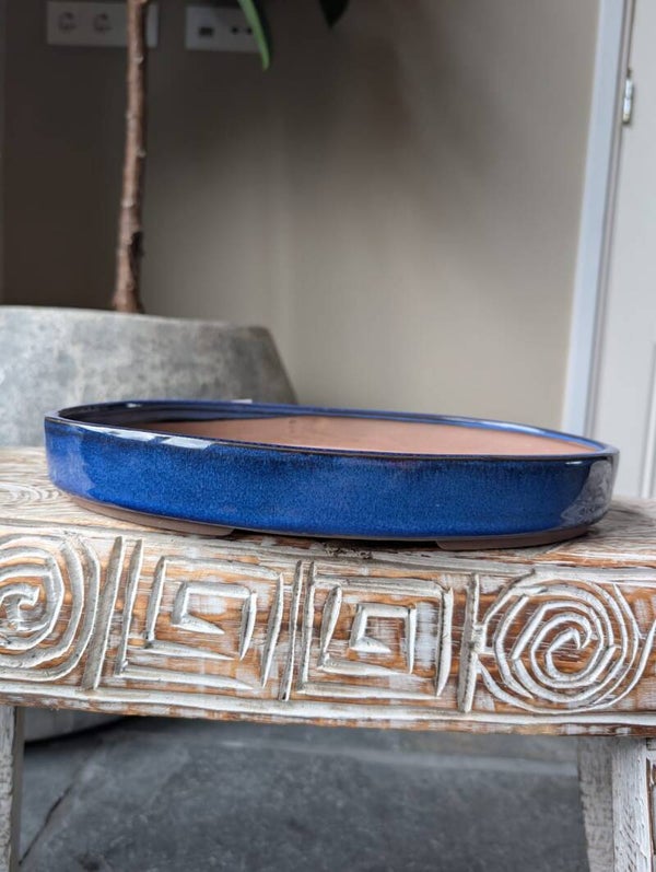 Bonsai Pot Ovaal Blauw  Geglazuurd 31.2 x 21.4 x 4.5
