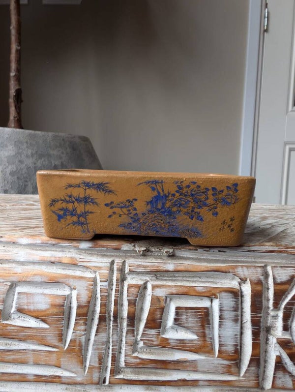 Bonsai pot 11 x 8 x 3.5