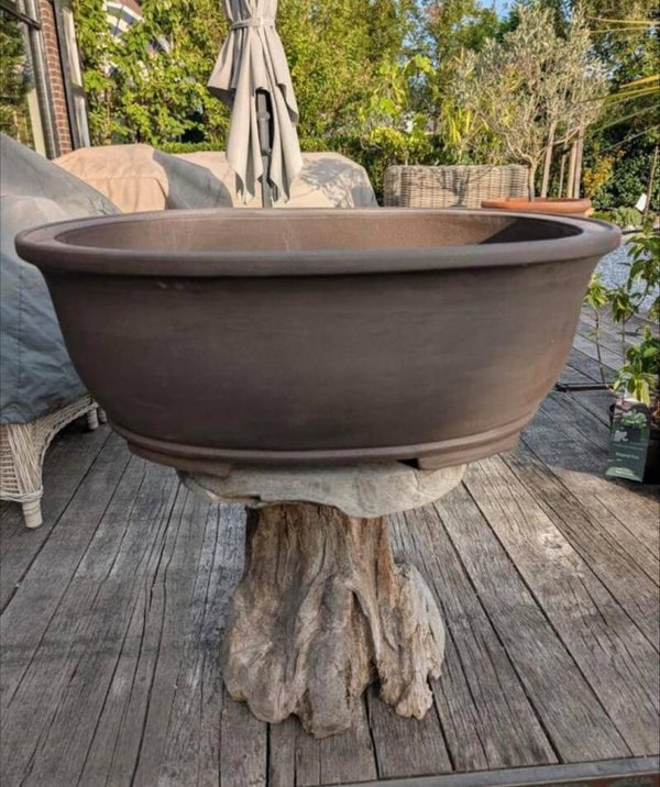 Bonsai Pot Ongeglazuurd 59 x 43 x 23