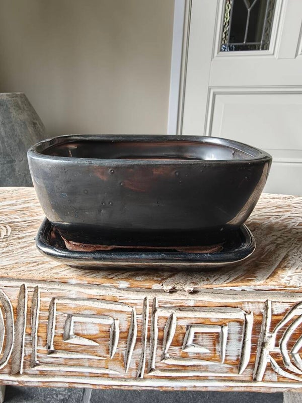Bonsai pot met schotel 16 x 12.5 x 7