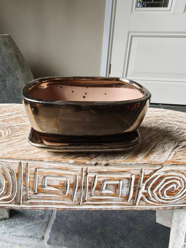 Bonsai pot met schotel 16 x 12.5 x 7