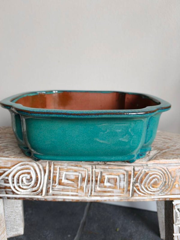 Bonsai pot 32 x 25.5 x 10