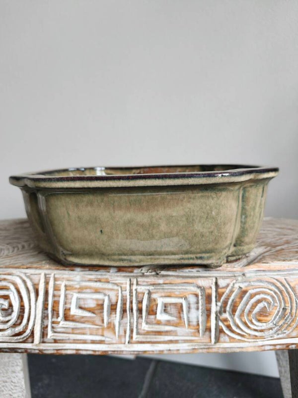 Bonsai pot 26.3 x 20 x 8.5