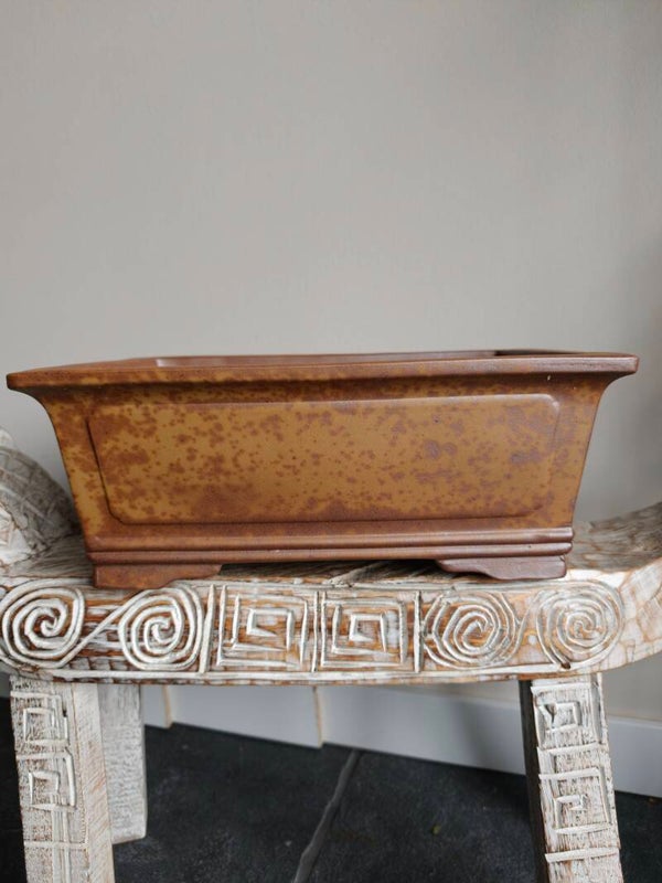 Bonsai pot 41.5 x 29.5 x 16