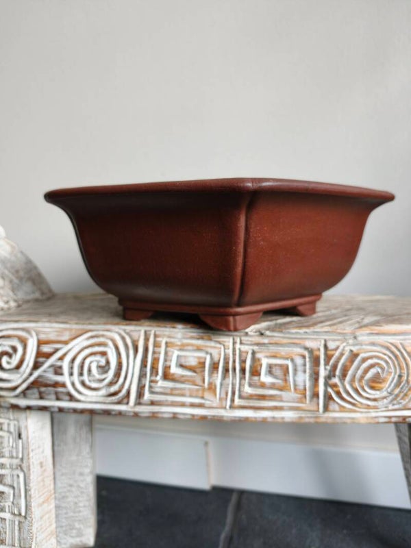 Bonsai pot 31.5 x 31.5 x 11.5