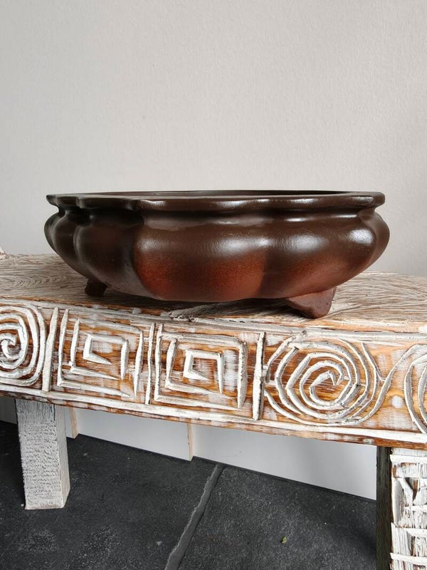 Bonsai pot 34 x 34 x 12
