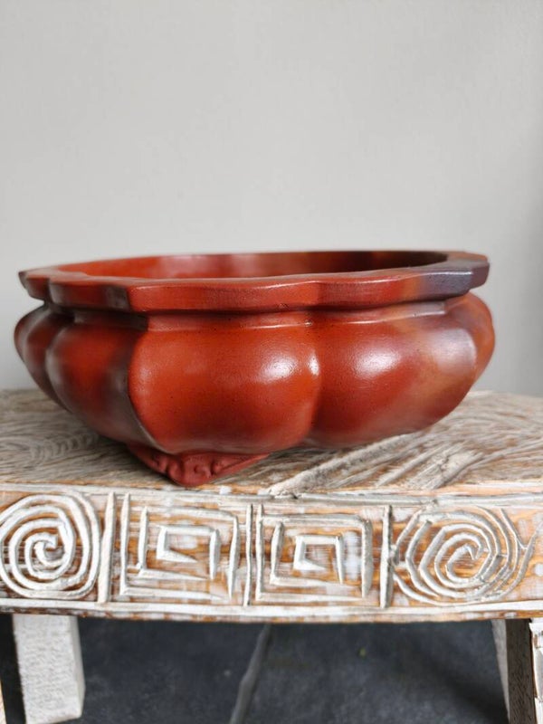 Bonsai pot 33.5 x 33.5 x 12
