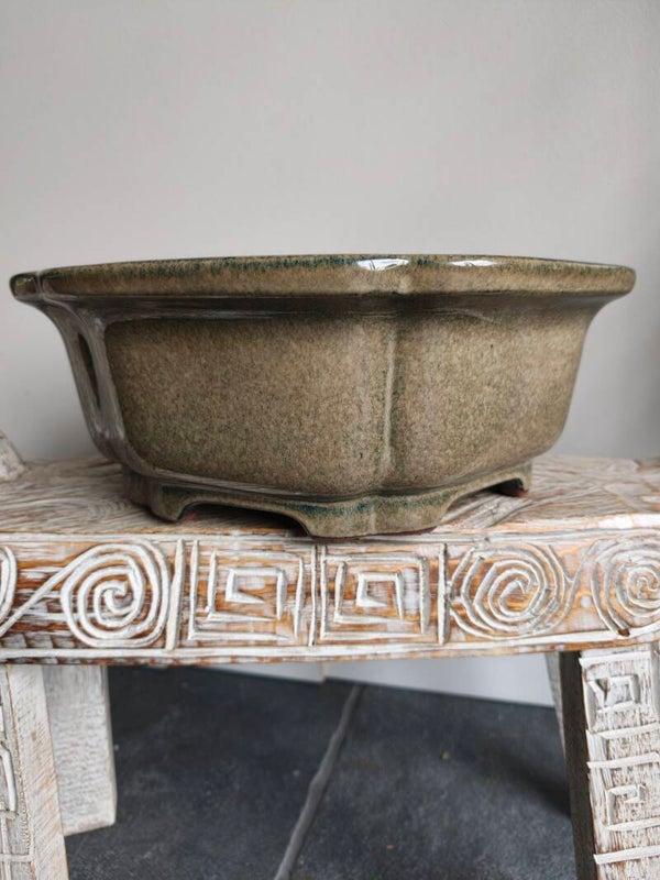 Bonsai pot 41.5 x 41.5 x 15