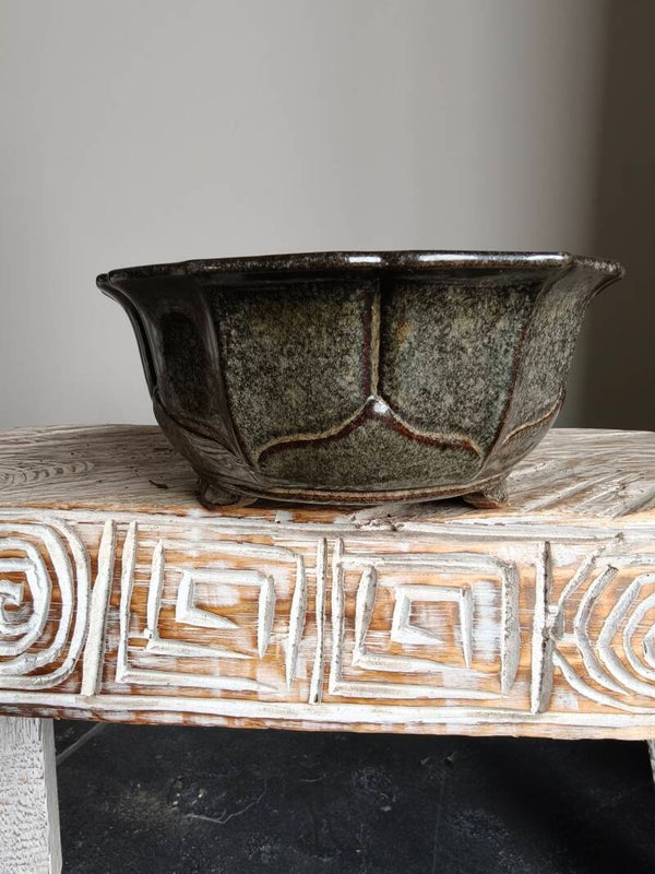 Bonsai pot 19.7 x 19.7 x 8.4