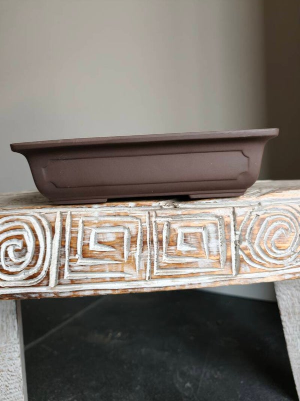 Bonsai pot 22.2 x 15.5 x 5.5