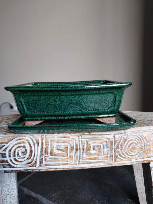 Bonsai pot 26.5 x 21 x 9 met schotel