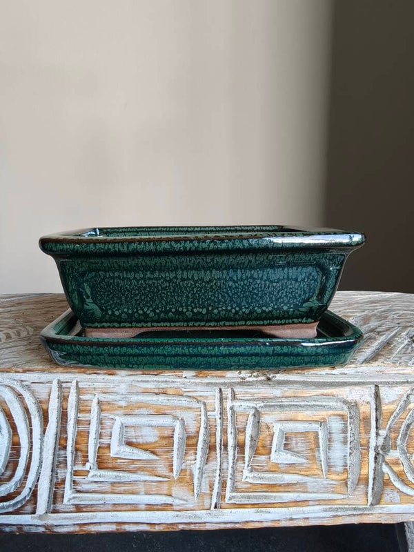 Bonsai pot 16 x 12.5 x 6 met schotel