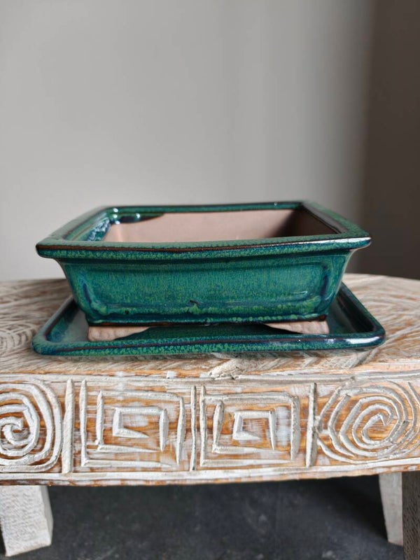 Bonsai pot 20.6 x 16.8 x 7.2