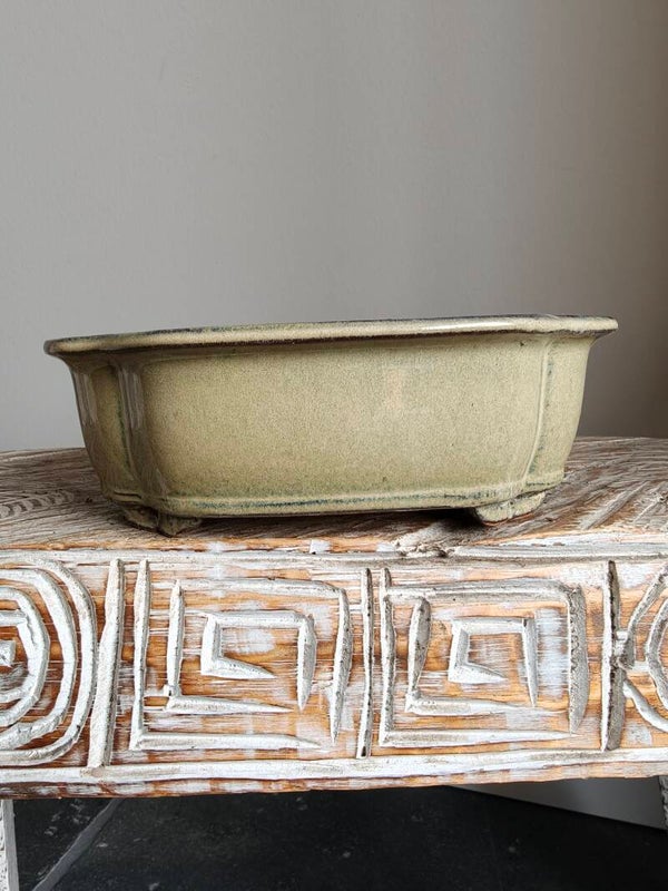 Bonsai pot 20 x 15.8 x 6.5