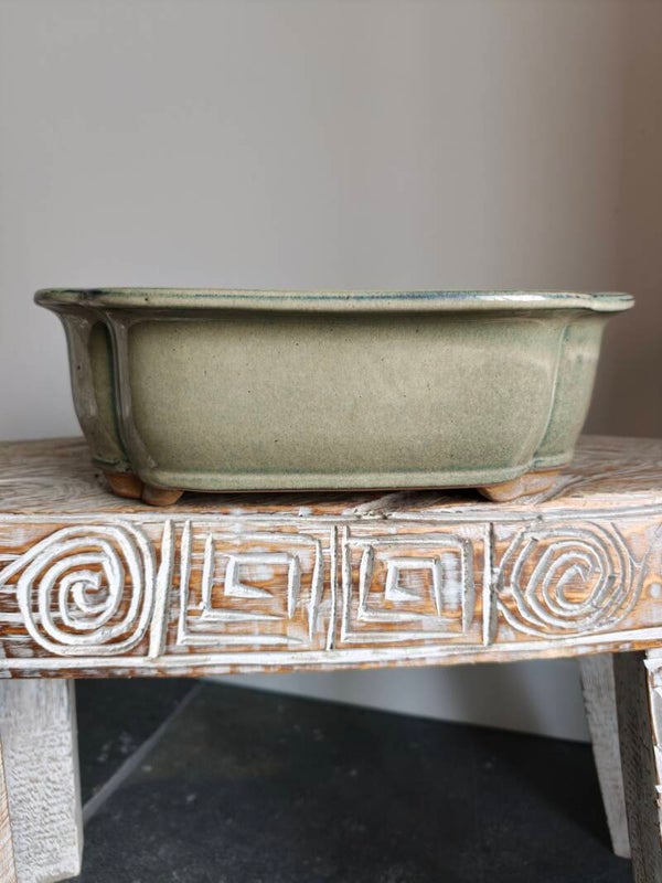Bonsai pot 31.5 x 25.5 x 10.5