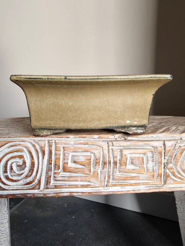Bonsai pot 20 x 16 x 7.5