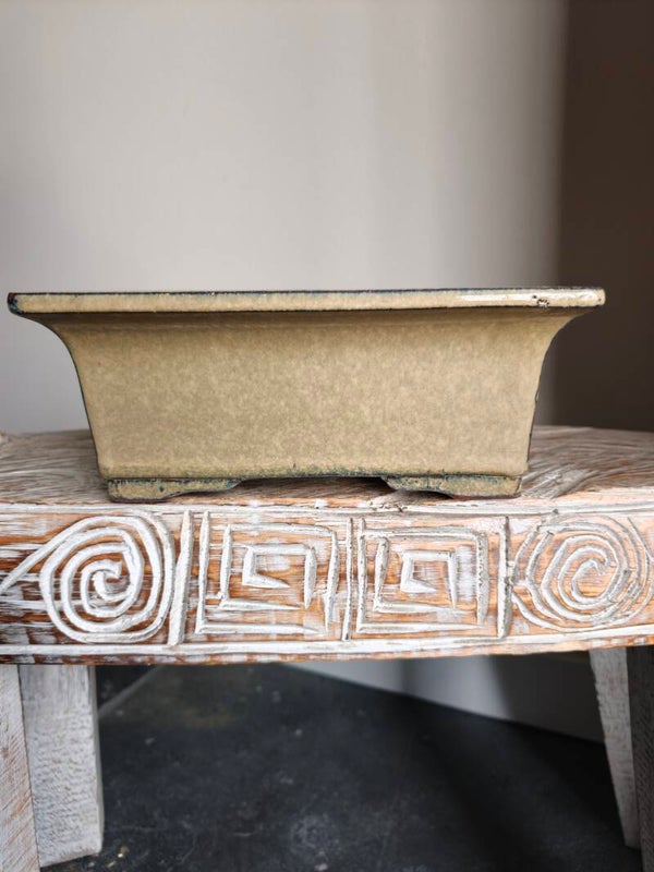 Bonsai pot 25.8 x 21.5 x 10