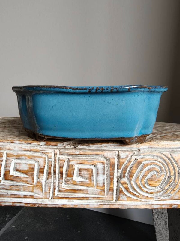 Bonsai pot 20 x 16 x 7