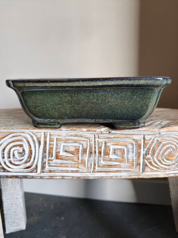 Bonsai pot 24 x 18.2 x 7.5