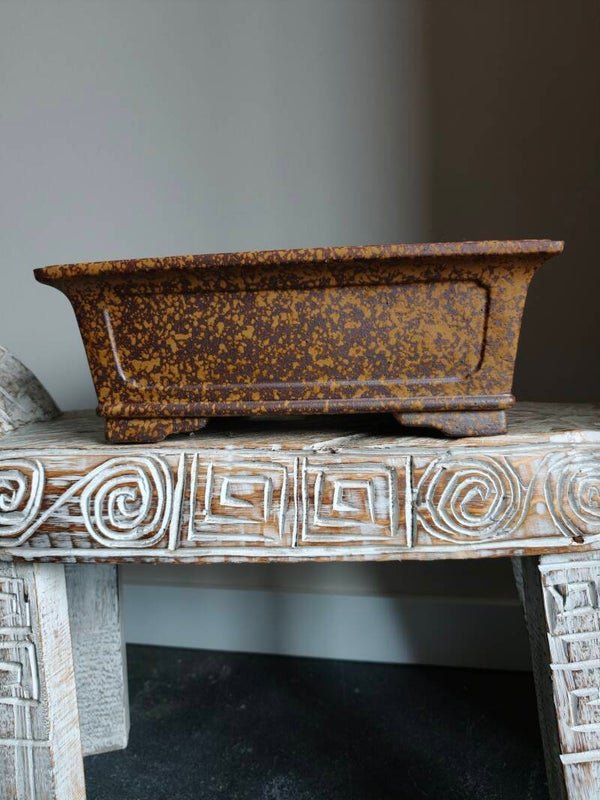 Bonsai pot 33.6 x 23 x 12.5