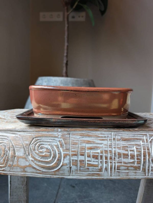 Bonsai Pot 22 x 17 x 6.5 geglazuurd koperkleur met schotel