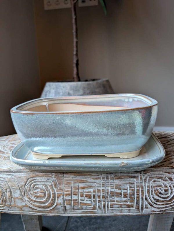 Bonsai pot 26.5 x 20.5 x 9.5 met schotel geglazuurd parelmoer