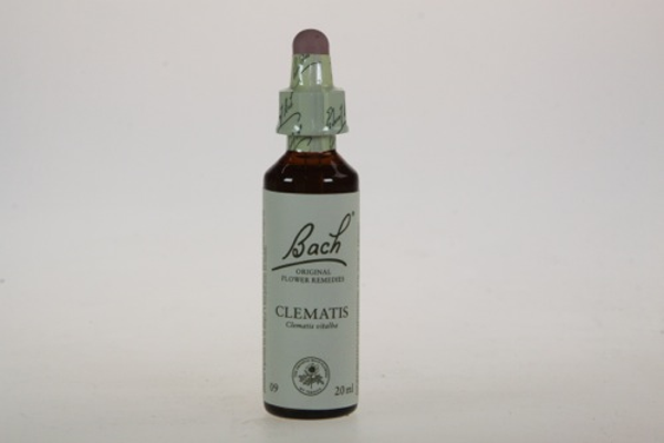 Bach Clematis - Bosrank 20ml