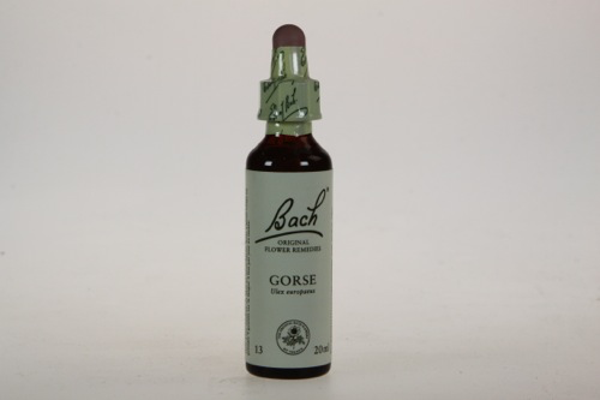 Bach Gorse - Gaspeldoorn 20ml