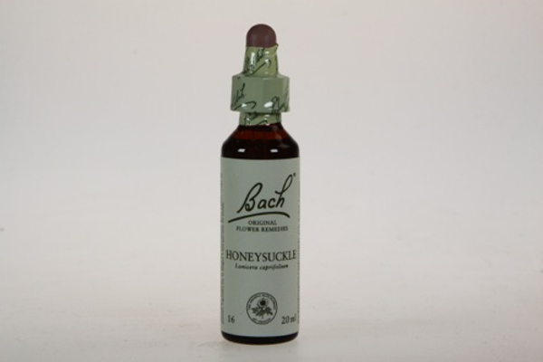 Bach Honeysukle - Kamperfoel 20ml