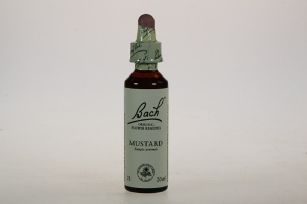 Bach Mustard - Herik 20ml