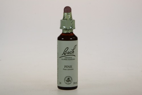 Bach Pine - Pijnboom 20ml